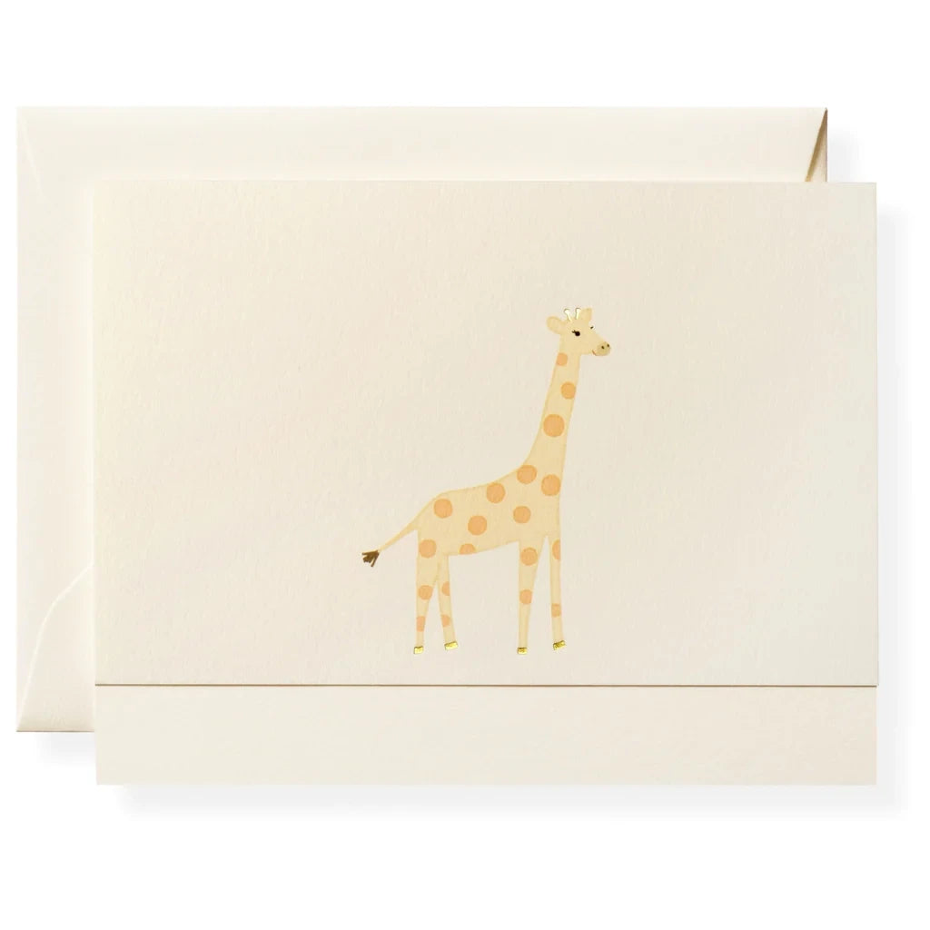 Wild Things Folded Note Card Box