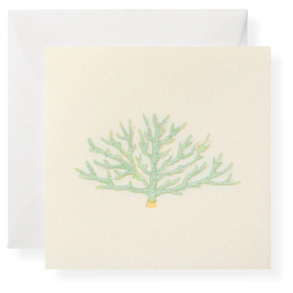 Salt Water Gift Enclosure Box
